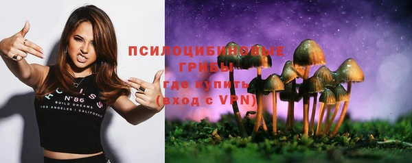 гидропоника Нягань
