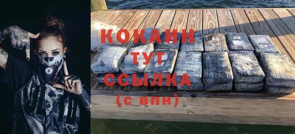 дмт Няндома