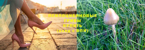 дмт Няндома