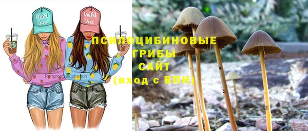 дмт Няндома