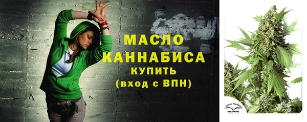 дмт Няндома