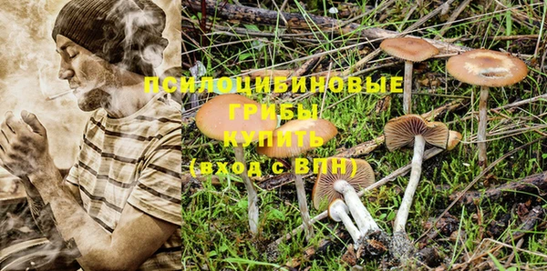 гидропоника Нягань