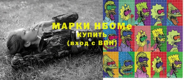 амф Сосновка