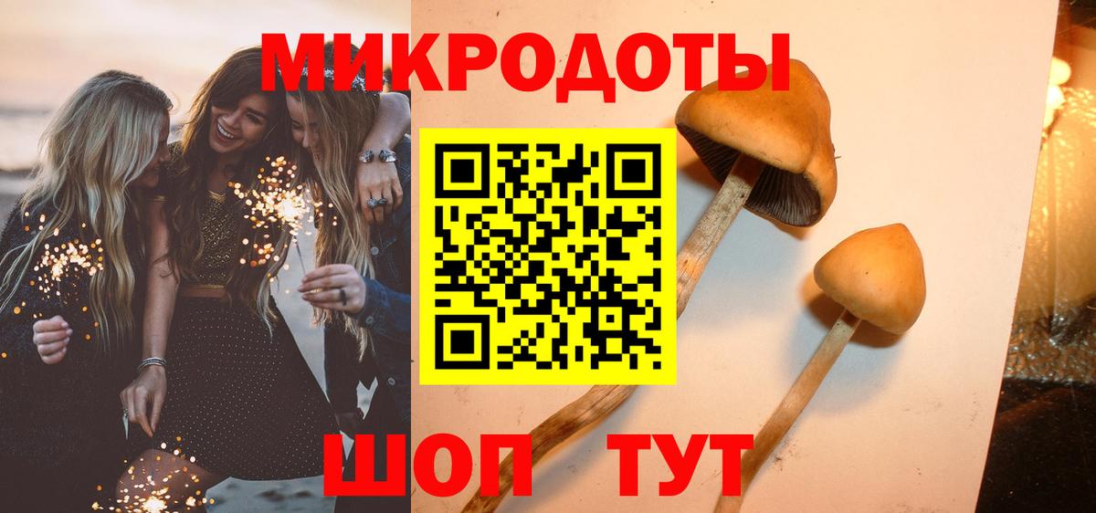 Усть-Джегута  Галлюциногенные грибы прущие грибы  Вход с VPN  закладка  Галлюциногенные грибы Psilocybe 