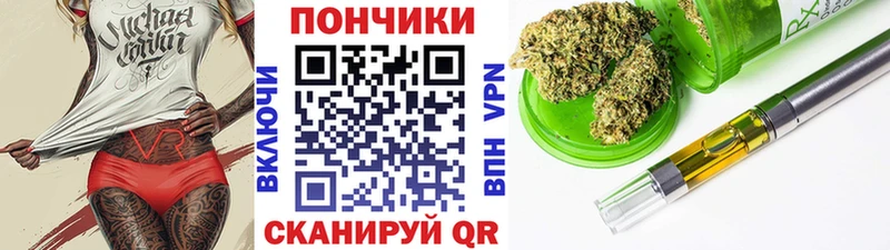 где можно купить   Усть-Джегута  Бошки Шишки марихуана 